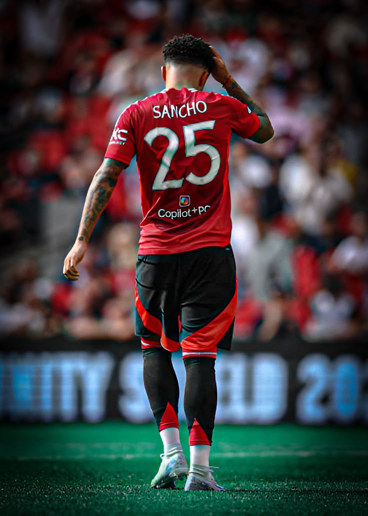 wallpaper Sancho