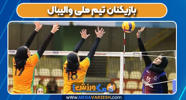 بازیکنان تیم ملی والیبال 