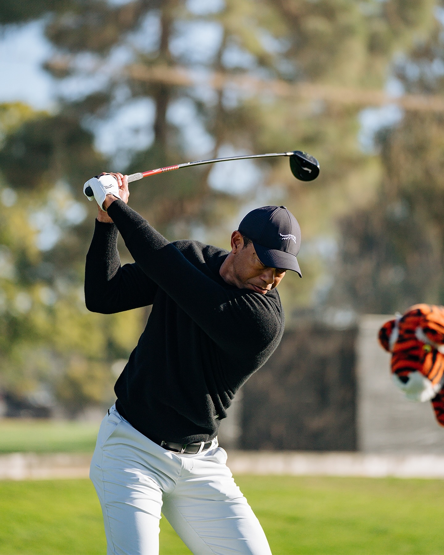 wallpaper Tiger Woods