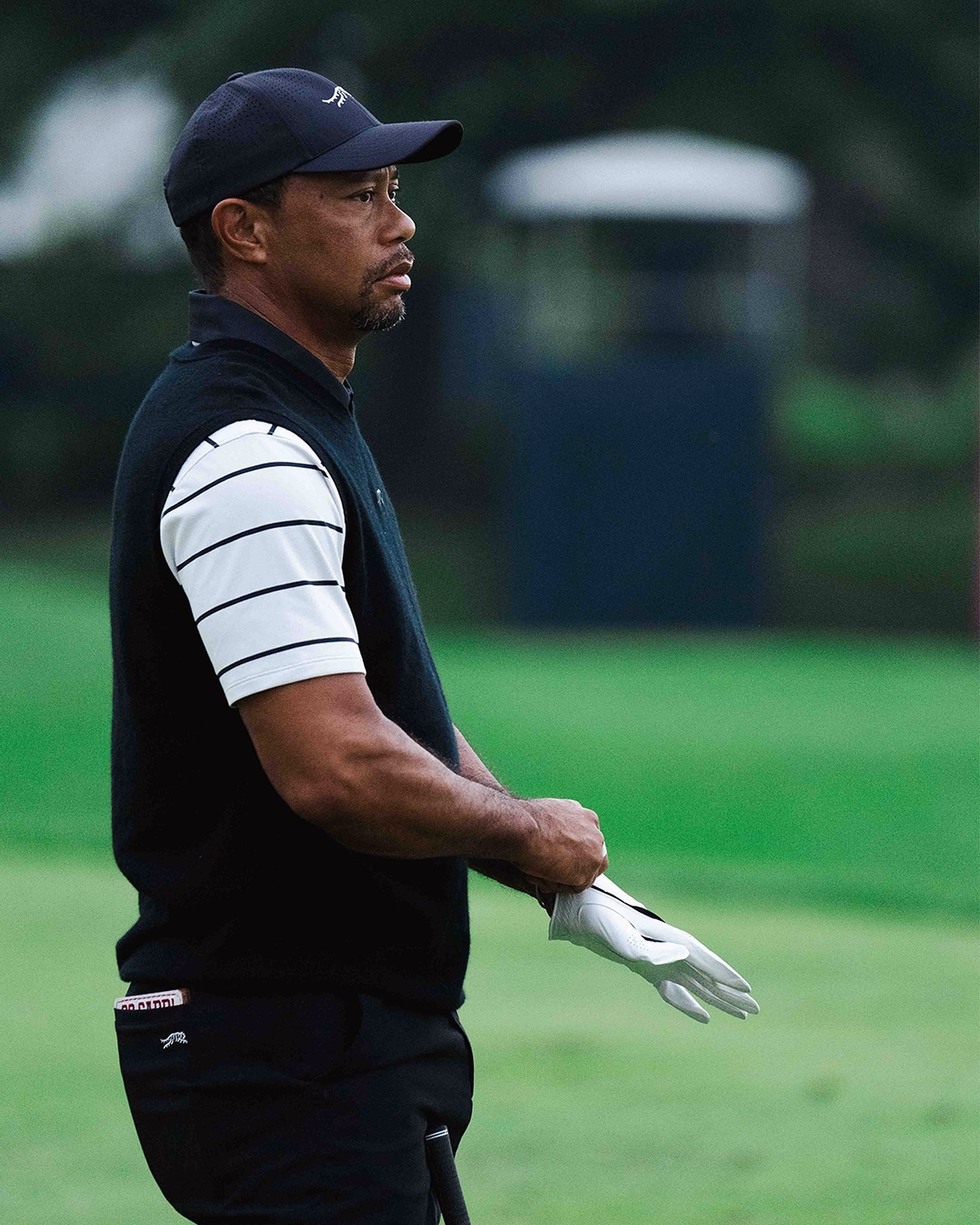 والپیپر تایگر وودز