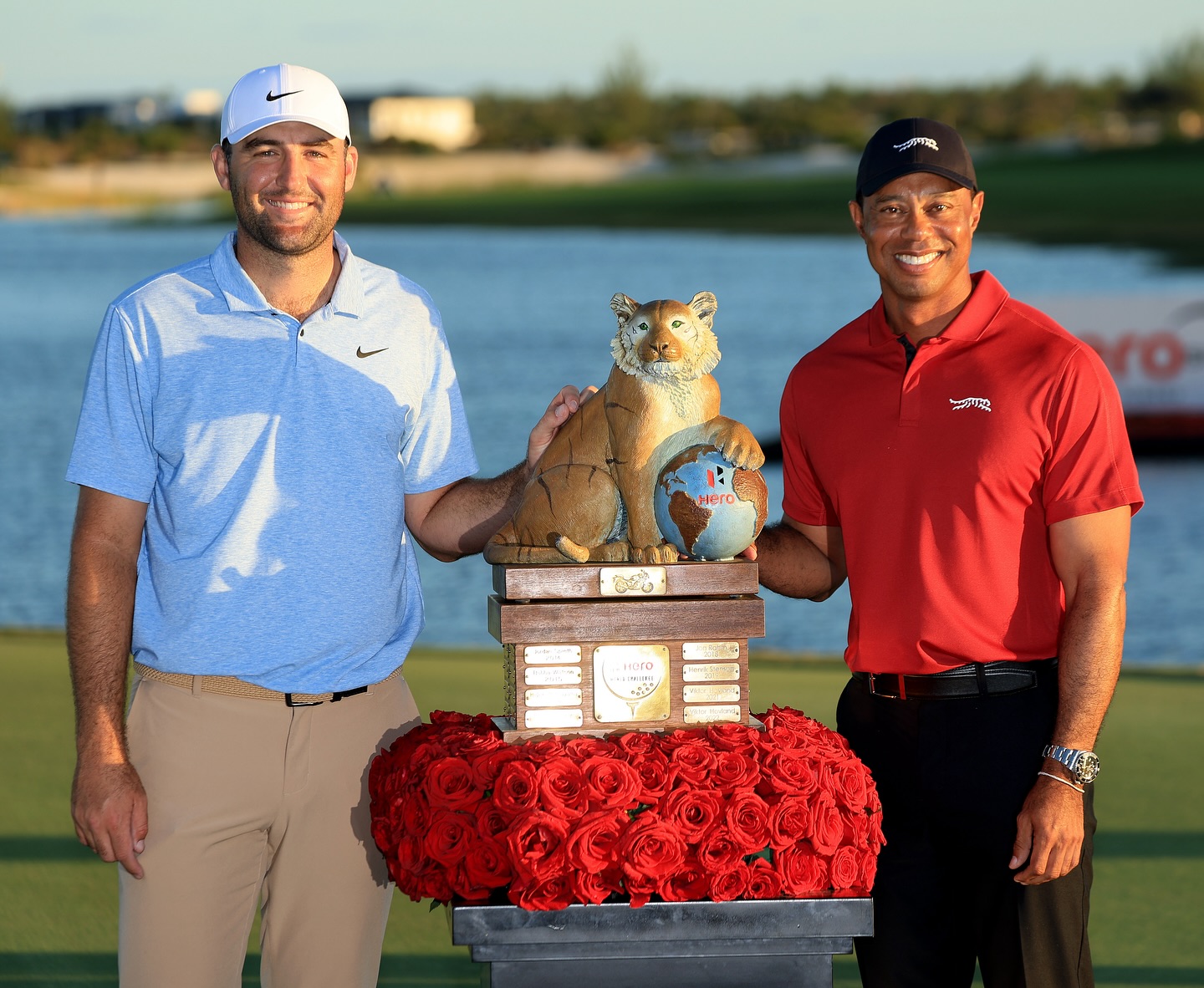 والپیپر تایگر وودز برای کامپیوتر