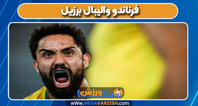 فرناندو والیبال برزیل