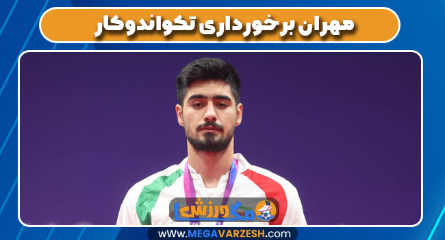 مهران برخورداری تکواندوکار
