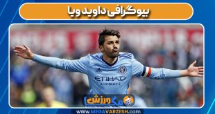 بیوگرافی داوید ویا