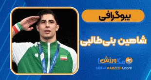 بیوگرافی شاهین بنی‌طالبی