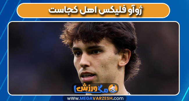ژوآو فلیکس اهل کجاست