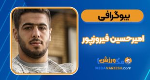 بیوگرافی امیرحسین فیروزپور – Amir Hossein Firoozpour