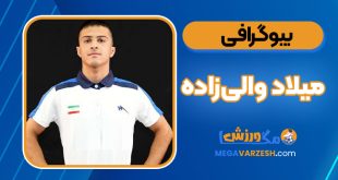 بیوگرافی میلاد والی‌زاده - Milad Valizadeh