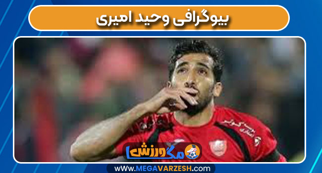 بیوگرافی وحید امیری
