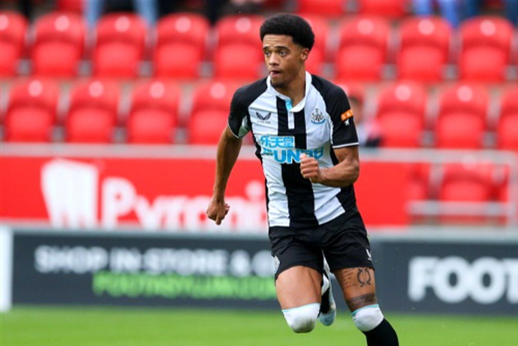 عکس جمال لوییس