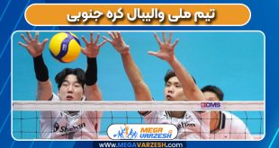 تیم ملی والیبال کره جنوبی