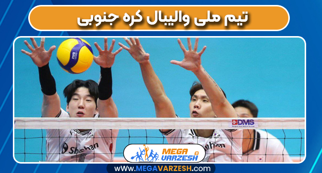 تیم ملی والیبال کره جنوبی