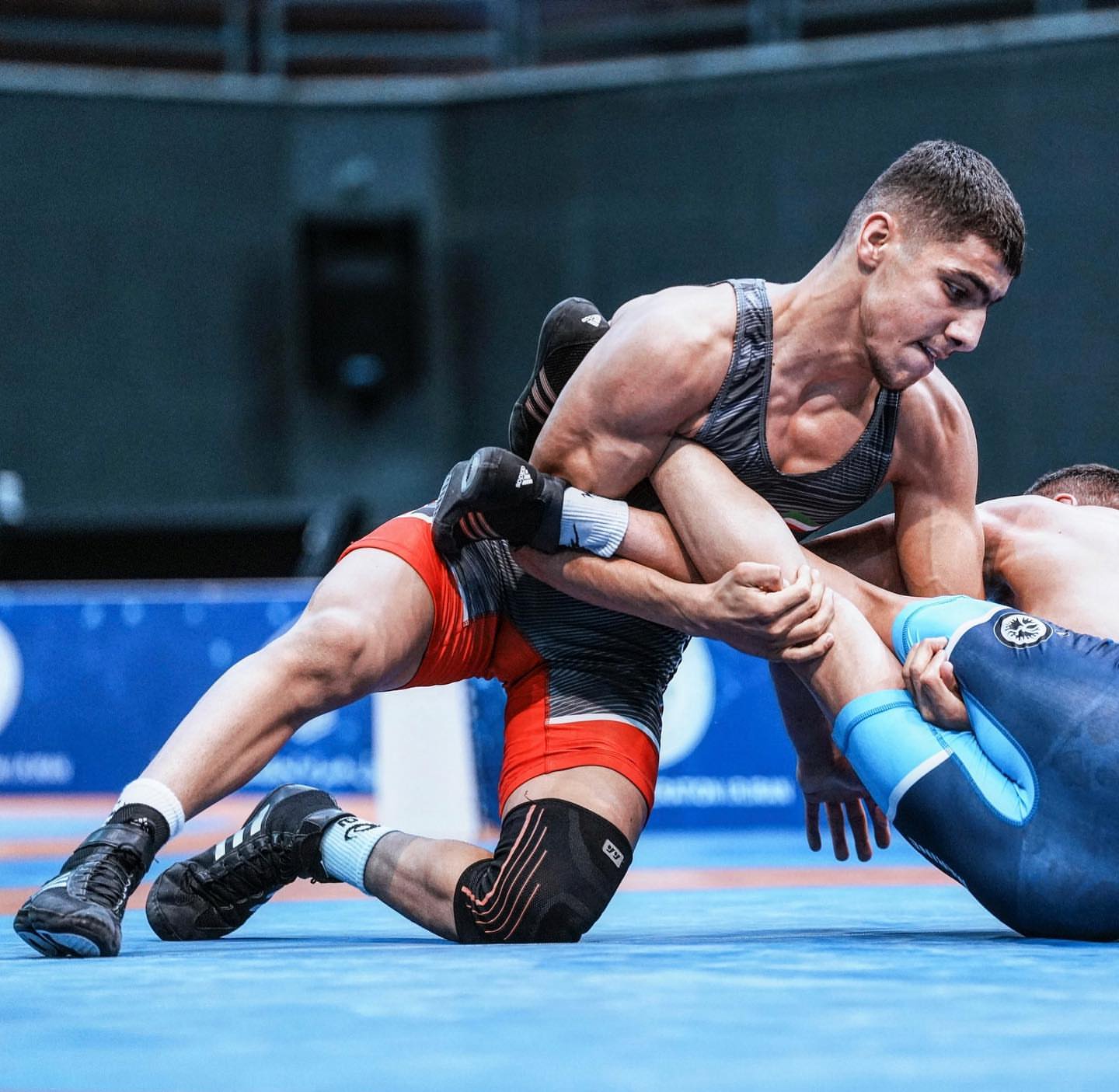 علی خرمدل والپیپر