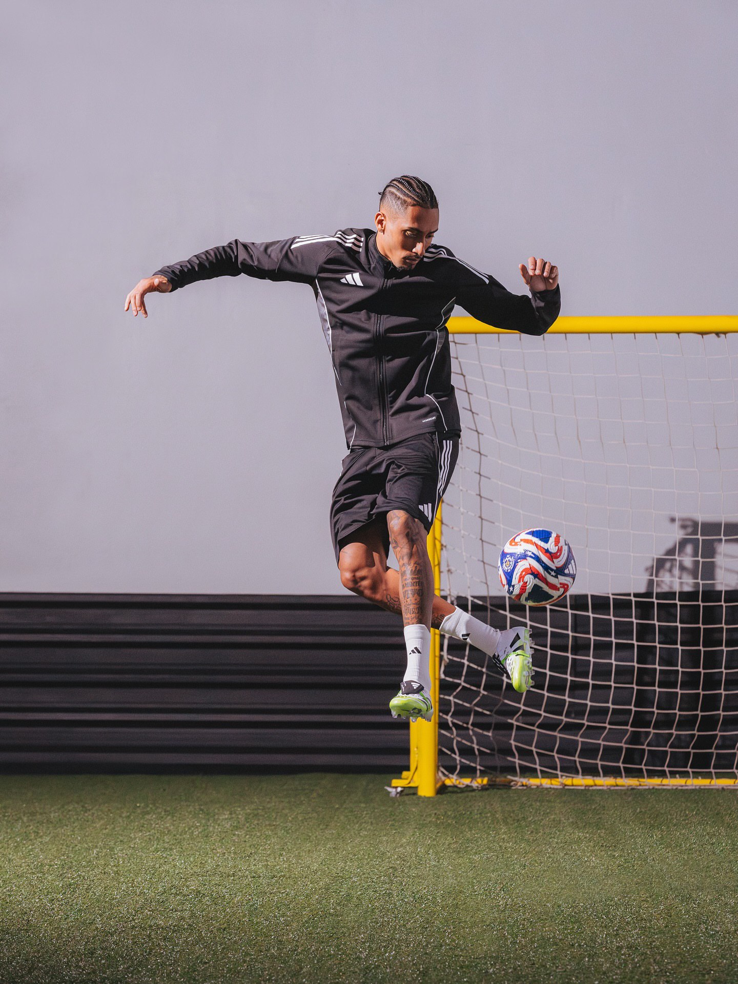 والپیپر رافینیا