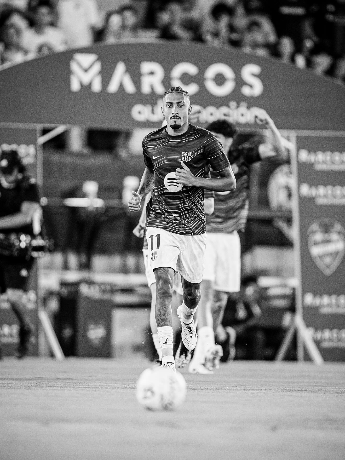 رافینیا والپیپر 