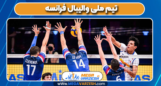 تیم ملی والیبال فرانسه