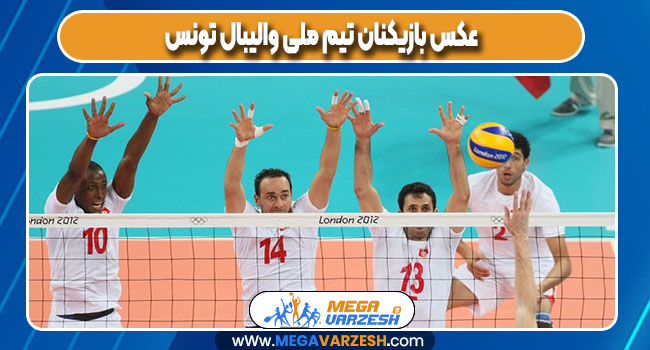 عکس بازیکنان تیم ملی والیبال تونس