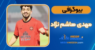 بیوگرافی مهدی هاشم نژاد