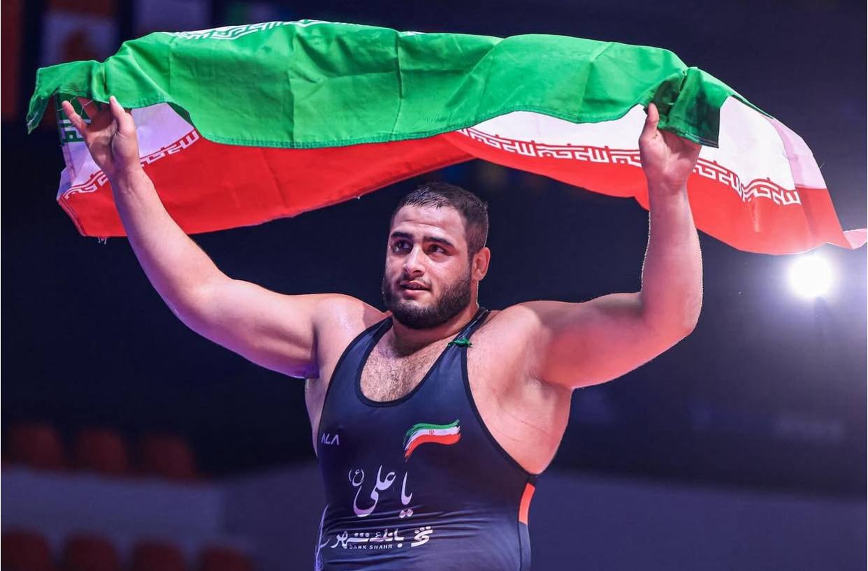 بیوگرافی فردین هدایتی _ Fardin Hedayati