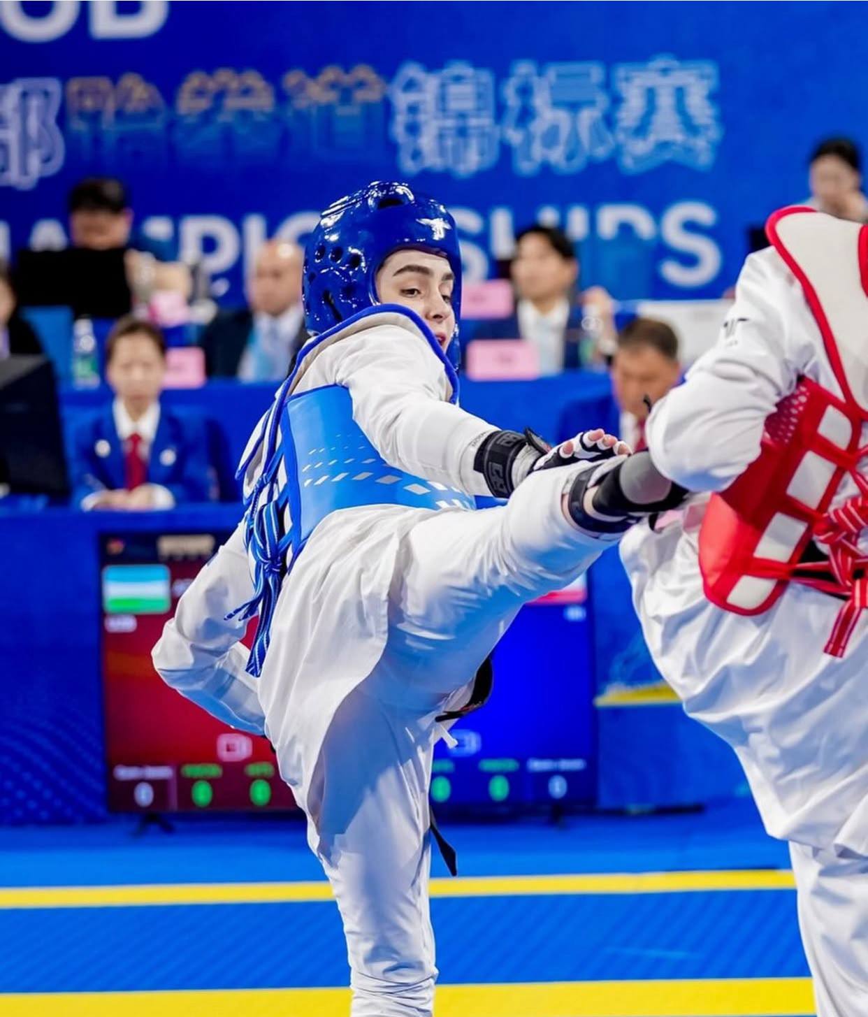 عکس کوثر اساسه