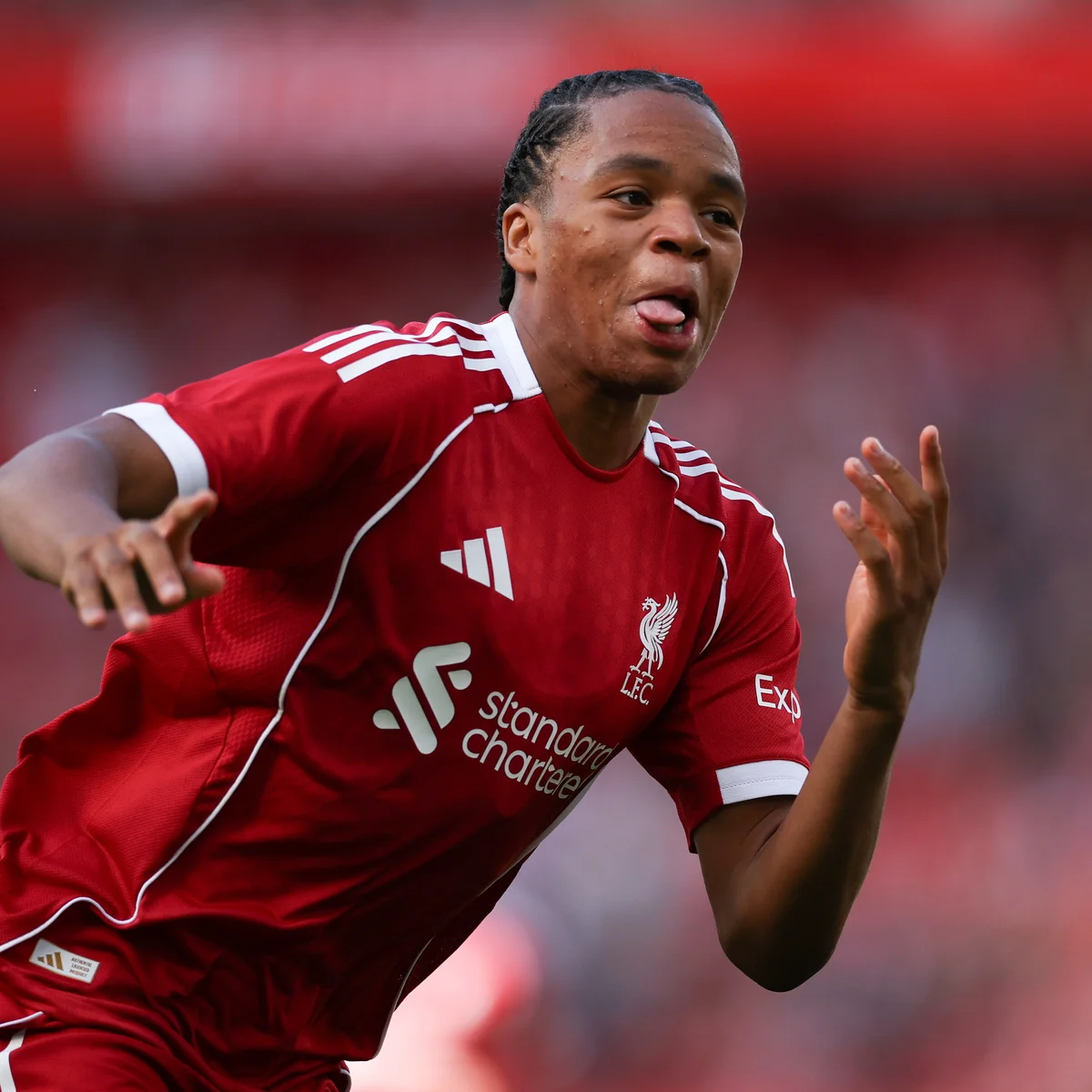 عکس ریو چیما انگوموها