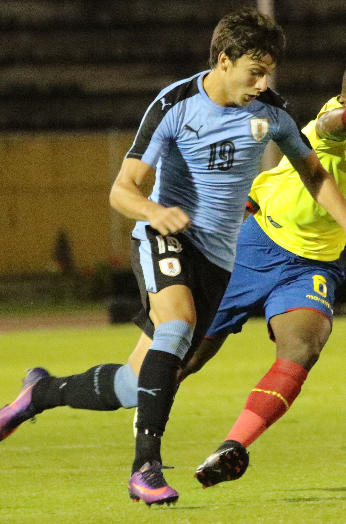 آگوستین کانوبیو