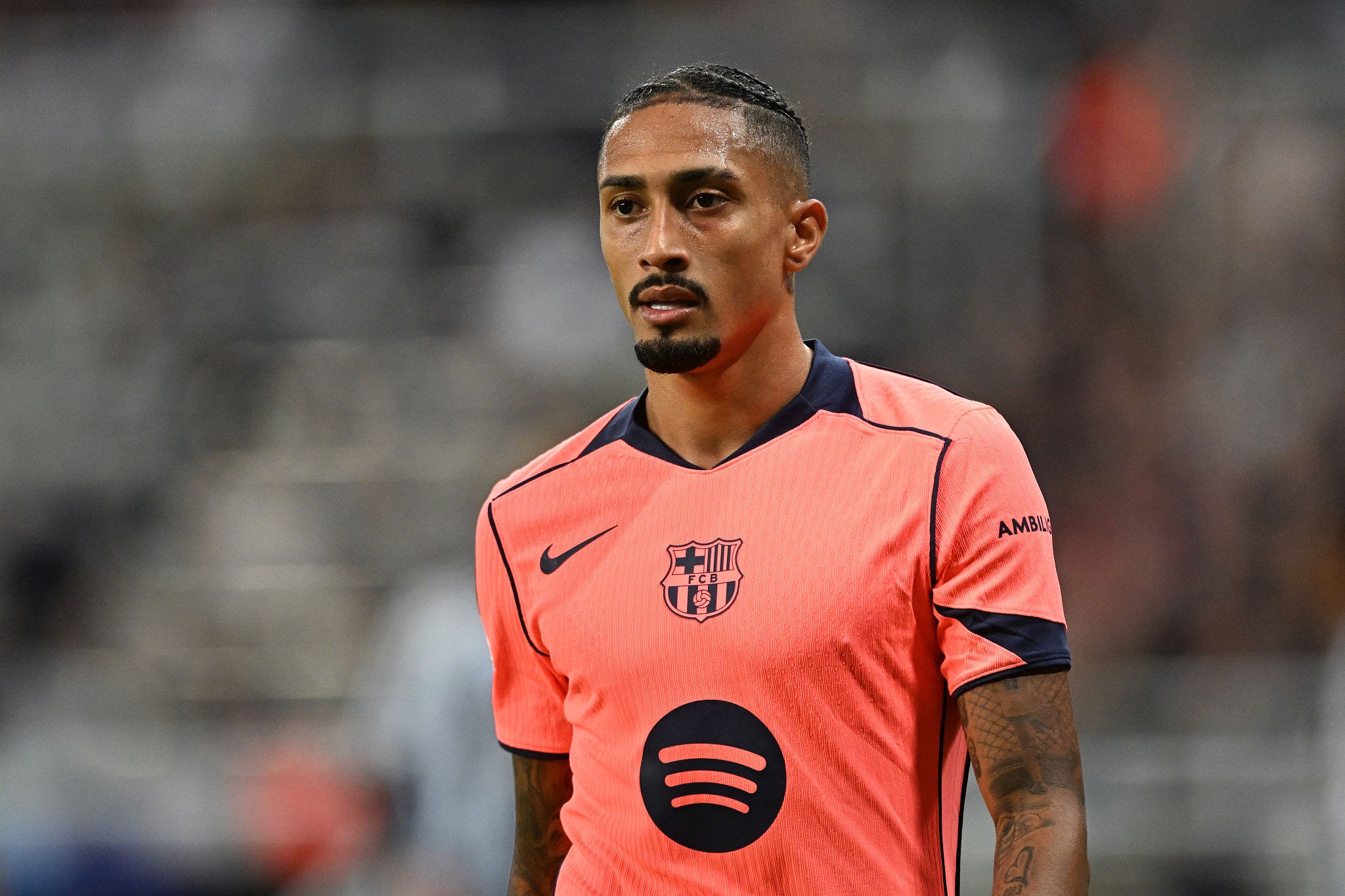 بیوگرافی آنتونیو رید 