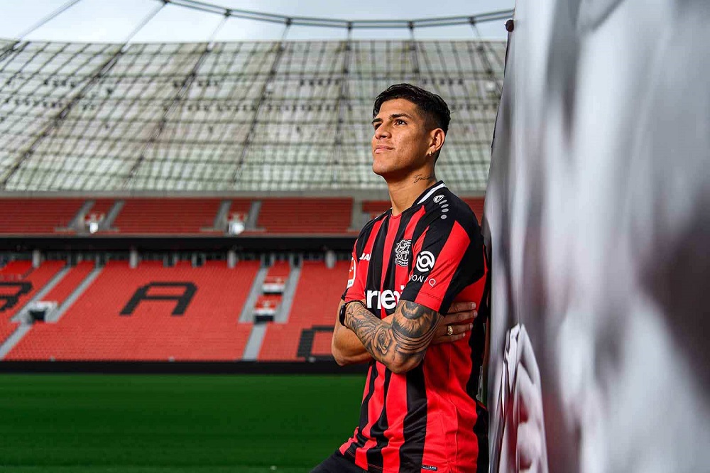 پیِرو هینکاپیه عکس