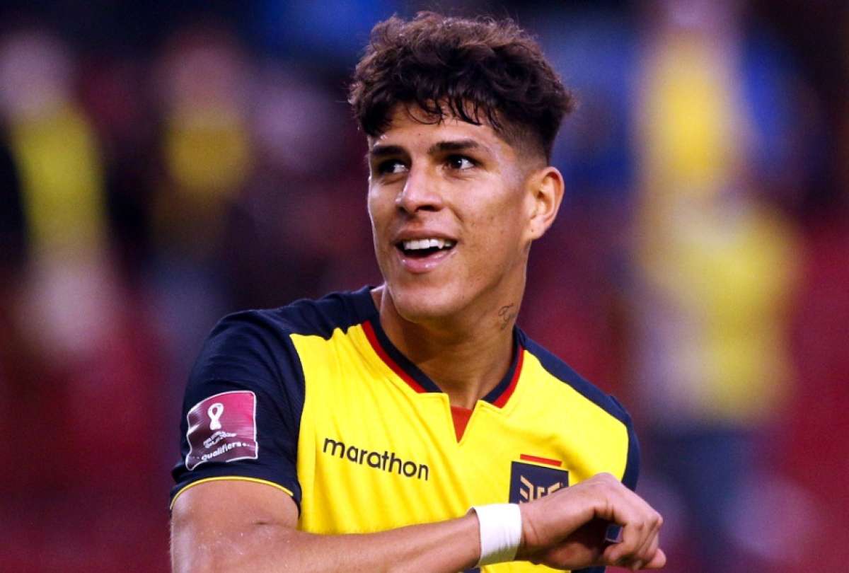 پیرو هینکاپیه بیوگرافی