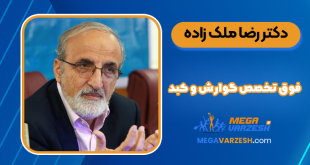 دکتر رضا ملک زاده فوق تخصص گوارش و کبد